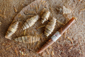 Handcrafted pastille with fresh and dried fruits