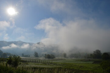 Fototapeta na wymiar morning fog in spring