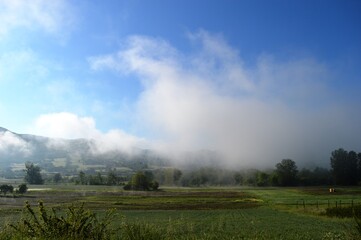 Fototapeta na wymiar morning fog in spring