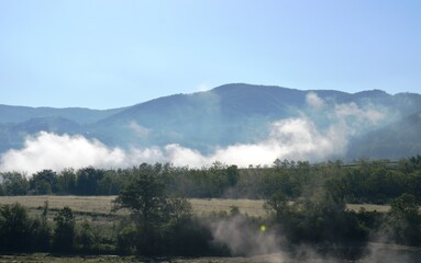morning fog in spring