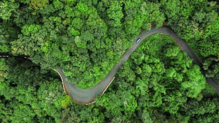 Aerial view of winding road trough the dense woods on the high mountain in Encumeada, Ribeira...