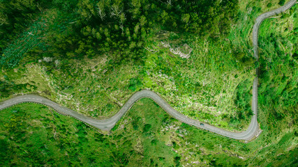 Aerial view of winding road trough the dense woods on the high mountain in Sao Vicente, Madeira island.