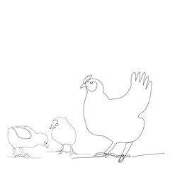vector, white background, continuous line drawing of chickens and chicken