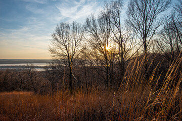 Illinois river seen from top of river bluff with the setting sun shining through the leafless trees onto a grassy meadow in the poreground, orange and yellow sunset, Pier Marquette Il.