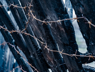Burnt fence with barbed wire. The consequences of not careful and thoughtless handling of fire.