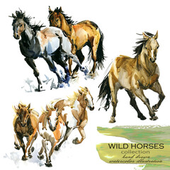 horse hand drawn watercolor illustration set	