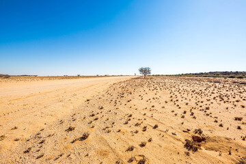A gravel road in Namibia, Africa