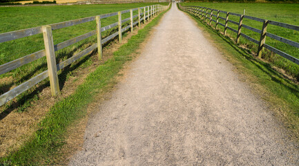 Fototapeta na wymiar Rural road between a rustic wooden fence and planting fields. In Ireland