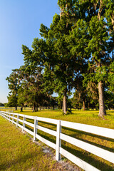 Fototapeta na wymiar White Picket Fence