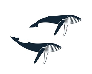 Whale logo. Isolated whale on white background