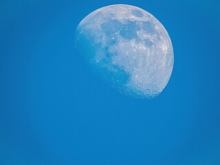 blue moon