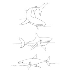 Obraz premium vector, isolated, shark continuous line drawing