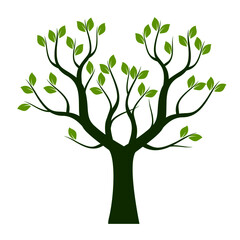 Obraz premium Green Tree with Leaves. Vector outline Illustration. Plant in Garden.