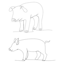 pig isolated vector, continuous line drawing