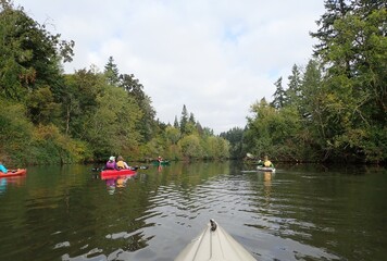 kayak and kayakers in river with green trees