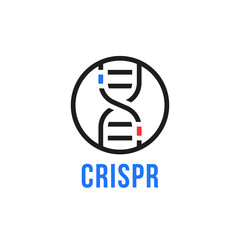 Fototapeta premium linear round human genome editing logo