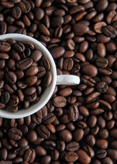 coffee bean full of cup top view 