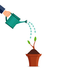 Hand watering can plant. Floral leaf sprout under watering watering can. Agriculture equipment or horticulture concept. Gardenman care growing flower. Hand holds watering can spray water. vector.