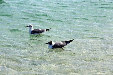 A relax time in the beach
