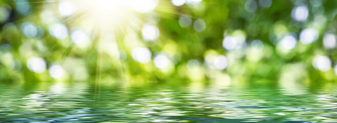 Blurred image of natural background with water, plants and bokeh light.