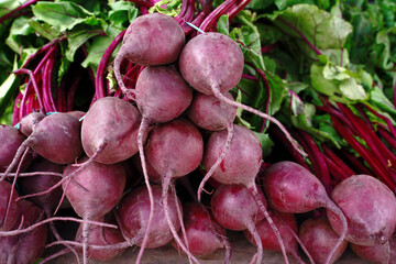 red beets with leaves on the market counter