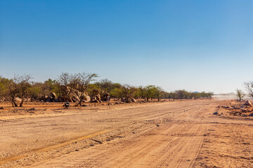 A gravel road in Namibia, Africa