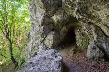 wejście do jaskini Mamut