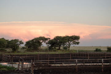 The sun painting a beautiful background to the dark colours of the kraal