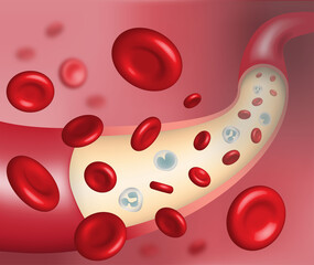 3D illustration of human blood vessel with flowing red and white blood cells