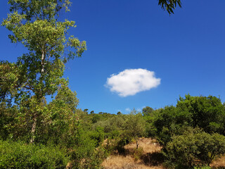 Paeasaggio di Sardegna