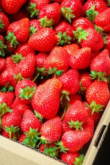 Strawberry ripe and juicy red berrie concept healthy eating. food background top view copy space for text