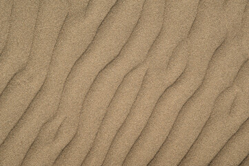 Fototapeta na wymiar fine beach sand, brown color