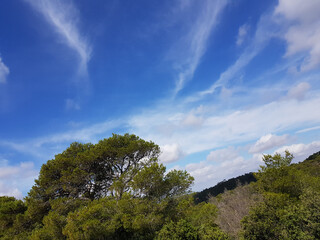 Fototapeta premium Paeasaggio di Sardegna