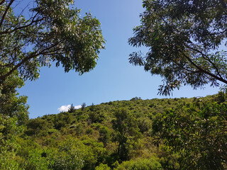 Paeasaggio di Sardegna
