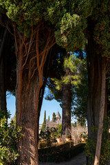 Dans les jardins de l'Alhambra