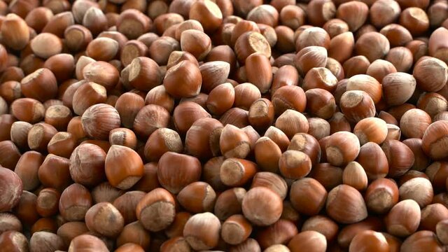 close up of nuts