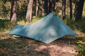 Ultralight tent in a pine forest. Sunny summer day. © Vitaly