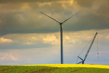 Elektrownie Wiatrowe Na Rzepakowych Polach 