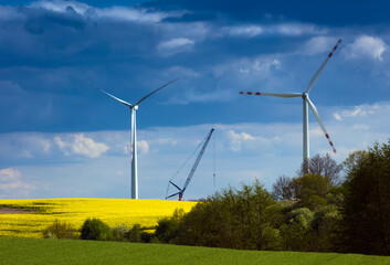 Turbiny Wiatrowe Na Rzepakowych Polach  © Wojciech Lisiński
