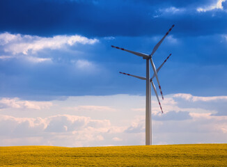 Turbiny Wiatrowe Na Polach Rzepaku  © Wojciech Lisiński