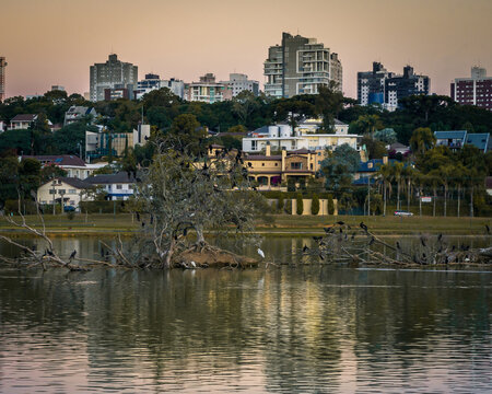 Lago do parque barigui 