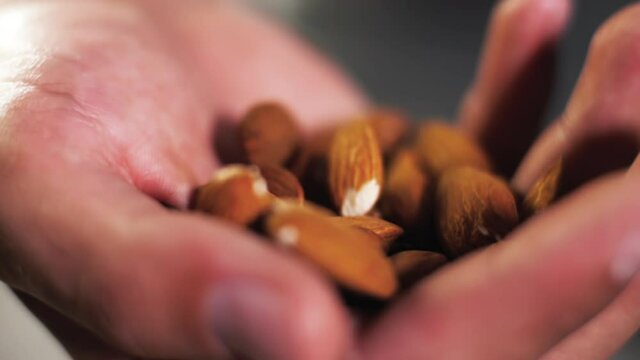 Closeup of almond nuts slowly falling into hand of chef or backer in slow motion, start of preparation of plant based almond milk