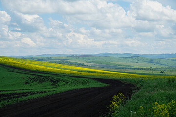 Obraz premium View of the Altai Valley in the spring.