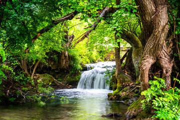 Waterfall in a forest on a clean and speed river. Veliki Buk in Lisine, Serbia.