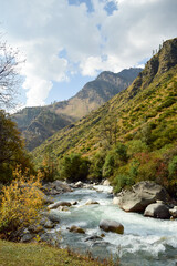 Fototapeta na wymiar Beautiful river view on the way to Har ki dun, Uttarakhand, India