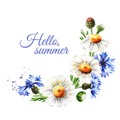 Round frame, wreath, bouquet of white chamomile and blue cornflower. Hand drawn watercolor illustration, isolated on white background