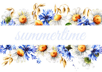 Summer chamomiles, cornflowers and wheat ears border, Hand drawn watercolor illustration isolated on white background