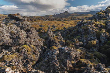 Fields of frozen lava covered with moss. Iceland.