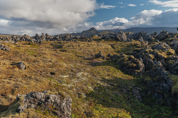 Fields of frozen lava covered with moss. Iceland.