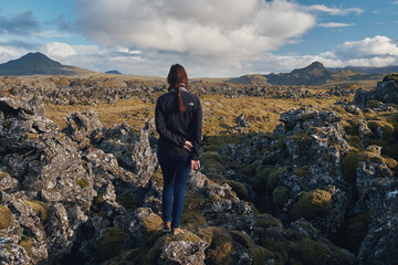 Fototapeta premium Fields of frozen lava covered with moss. Iceland.